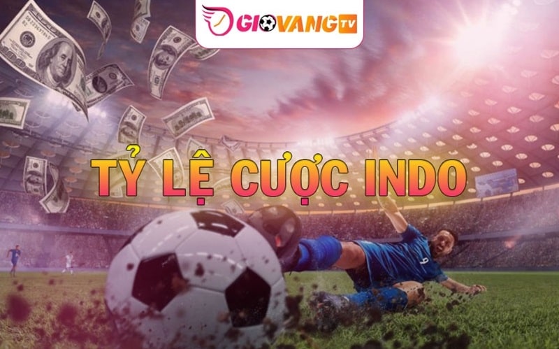 Tỷ lệ cược Indo là gì? Cách cá độ với odds indo